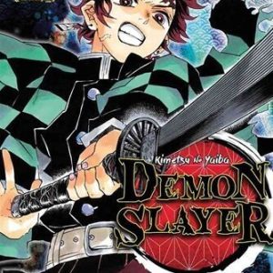 Demon Slayer 10