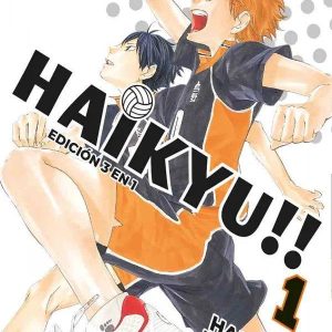 Haikyu!! (3 IN 1) - 01