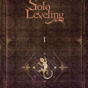 Solo Leveling Novels 01