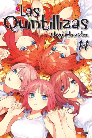 Quintillizas 14
